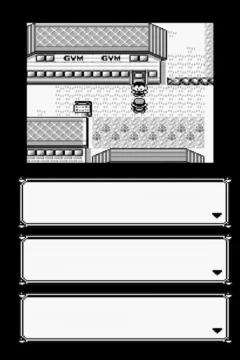 Pokemons Sexarite 1005