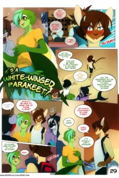 Cats Love Water (30)