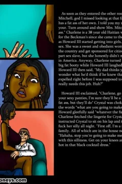 Mrs. Mitchell – Rich Boy’s Play Toy0005