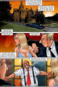 Mexican Backyard (3)