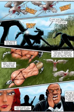 Mexican Backyard (40)