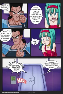 Locofuria – SSJ Girls Bra- DBZ0007