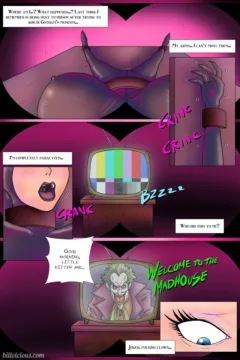 Bill Vicious- Arkham Asylum- Sex-Madness0005