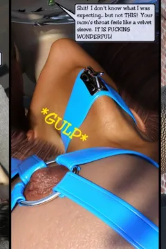 CrystalImage- Classic Silke 4- New Horizons0020