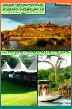 Africanized Part 2012