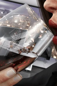 LFCfanGTS – Adeline – Chapter 9 (8)