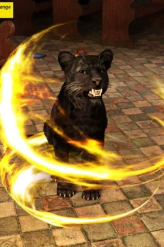 Dark Ritual- Initiation – Redrobot3D0029