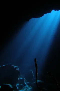 Nursing Girls- Droid4470007