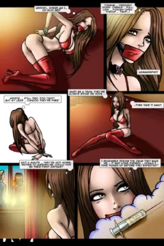 Fansadox Collection – 477 – Lesbi K leih – Librarian 3 – Stacked & Bound-09