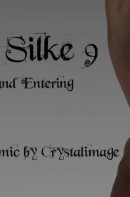 CrystalImage- Classic Silke 9 (1)