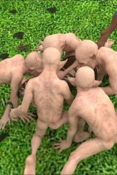 PigKing- Enchanted World (19)