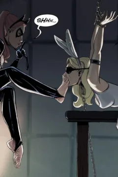 SleepyGimp – Nancy Templeton Like a Thief (22)