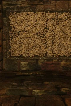 Casgra- Nuit Bleu 2 – Alone in the Catacombs- x (17)