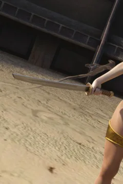 Sarubo3d- Elf vs Barbarian- x (23)