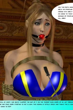 Star Flair 5 – Slavery 101- x (15)