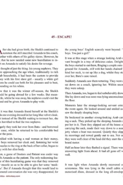 Allan Aldiss – Arabian Revenge 2- x (106)