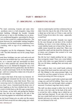 Allan Aldiss – Arabian Revenge 2- x (15)