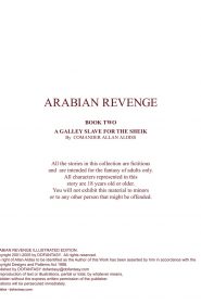 Allan Aldiss - Arabian Revenge 2- x (2)