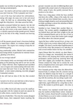 Allan Aldiss – Arabian Revenge 2- x (22)