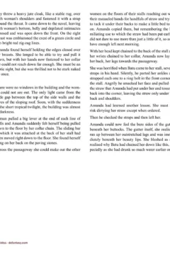 Allan Aldiss – Arabian Revenge 2- x (27)