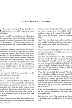 Allan Aldiss – Arabian Revenge 2- x (28)