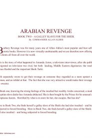 Allan Aldiss - Arabian Revenge 2- x (3)