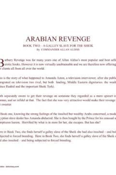 Allan Aldiss – Arabian Revenge 2- x (3)