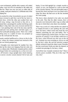 Allan Aldiss – Arabian Revenge 2- x (34)