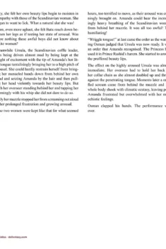 Allan Aldiss – Arabian Revenge 2- x (39)