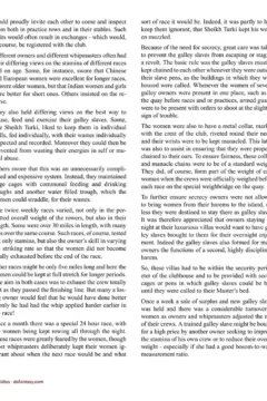 Allan Aldiss – Arabian Revenge 2- x (51)