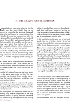 Allan Aldiss – Arabian Revenge 2- x (57)