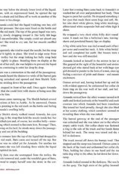 Allan Aldiss – Arabian Revenge 2- x (62)