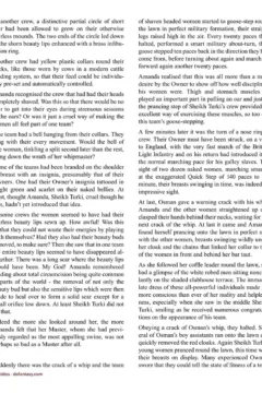 Allan Aldiss – Arabian Revenge 2- x (69)