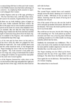 Allan Aldiss – Arabian Revenge 2- x (7)