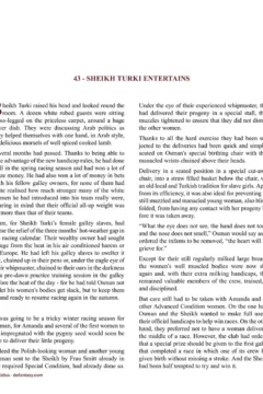 Allan Aldiss – Arabian Revenge 2- x (91)