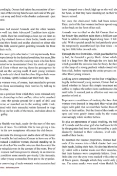 Allan Aldiss – Arabian Revenge 2- x (93)