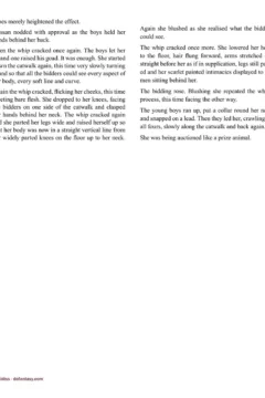 Allan Aldiss – Arabian Revenge- x (39)