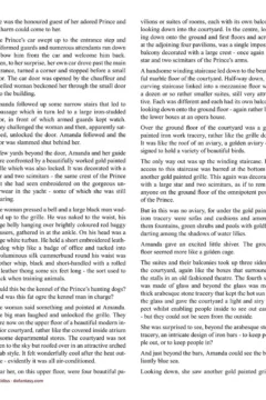 Allan Aldiss – Arabian Revenge- x (41)