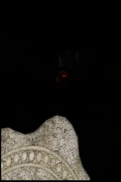 Cantraps- Heart of Darkness- x (226)