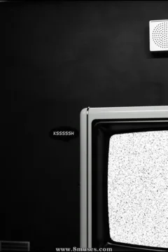 KaraComet- Mr. Housewife- x (25)