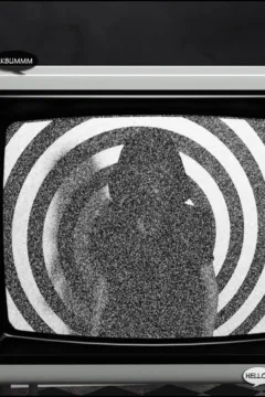 KaraComet- Mr. Housewife- x (26)