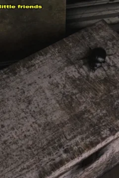 Mr Roachcock’s Bug Zapper-part 3- x (37)