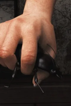 Mr Roachcock’s Bug Zapper-part 3- x (84)