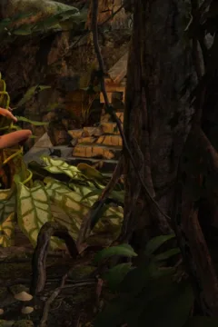 3DMidnight- The Forest- x (36)