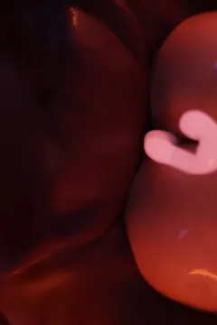 SquarePeg3D- Broken 3- x (132)