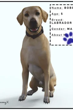 Xnassyx- Doggy door- x (4)