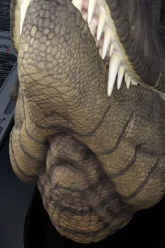 simplegreenbag- Self Serve- x (22)