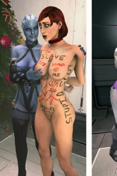 Liara X-Mass (10)
