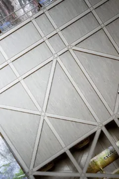 I’m Still Growing 1 CE-020