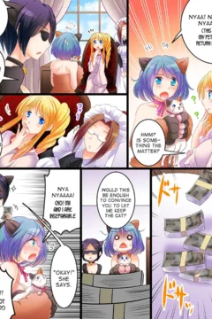 Let’s Look for the Kitty! (12)